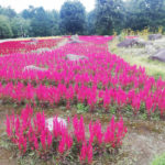 謎解きゲームを真剣に