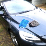 休みの日に洗車