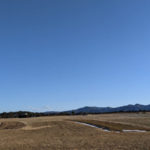 携帯料金が新時代・持ち歩ける自動売買PC